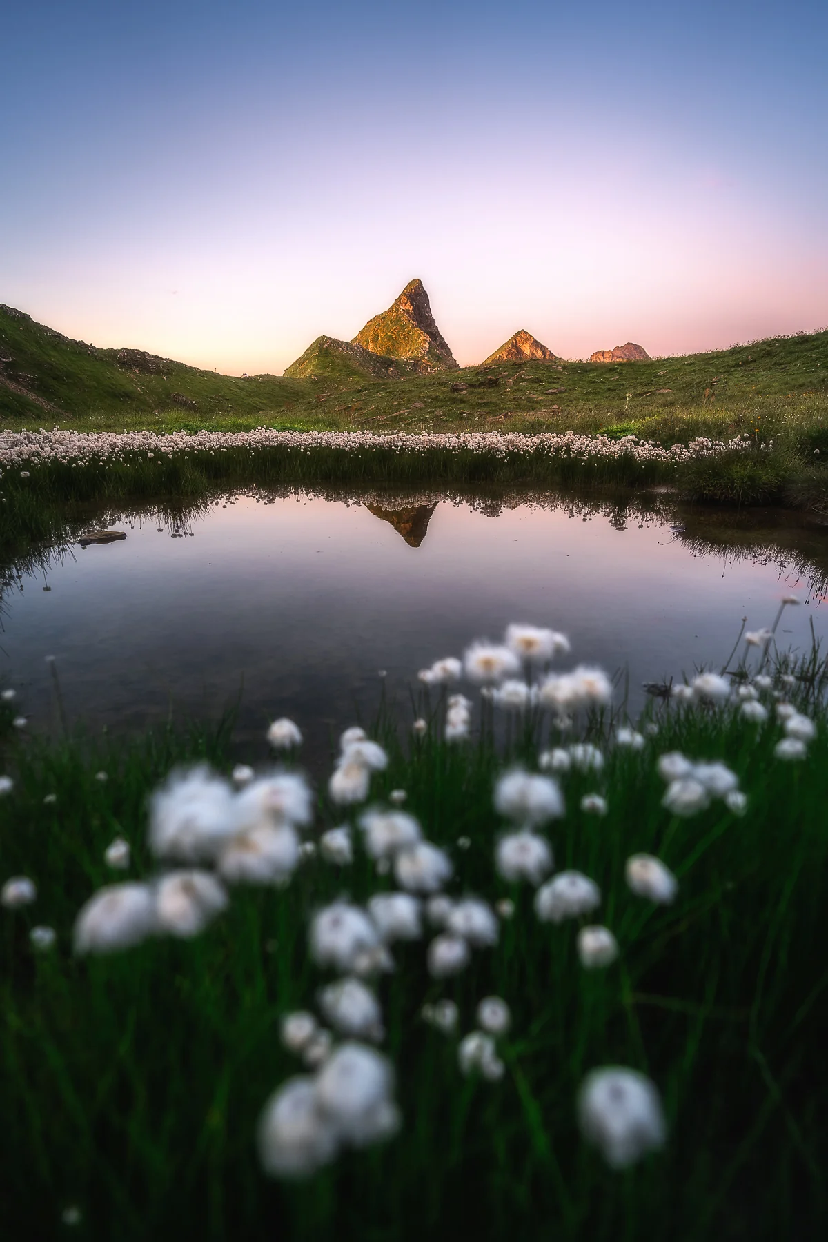 Spiegelnder Alpensee mit Wollgras im Vordergrund und Bergspitzen im goldenen Sonnenuntergang