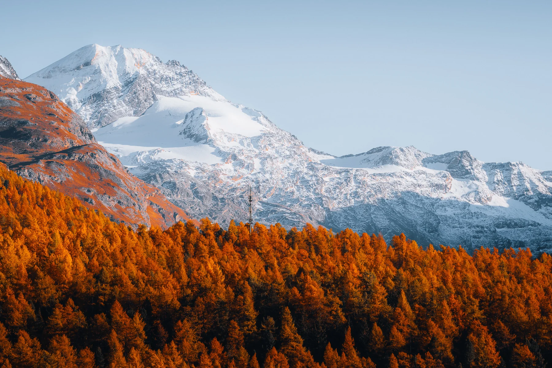 Goldorange Herbstlärchen vor majestätischen schneebedeckten Alpengipfeln in Graubünden
