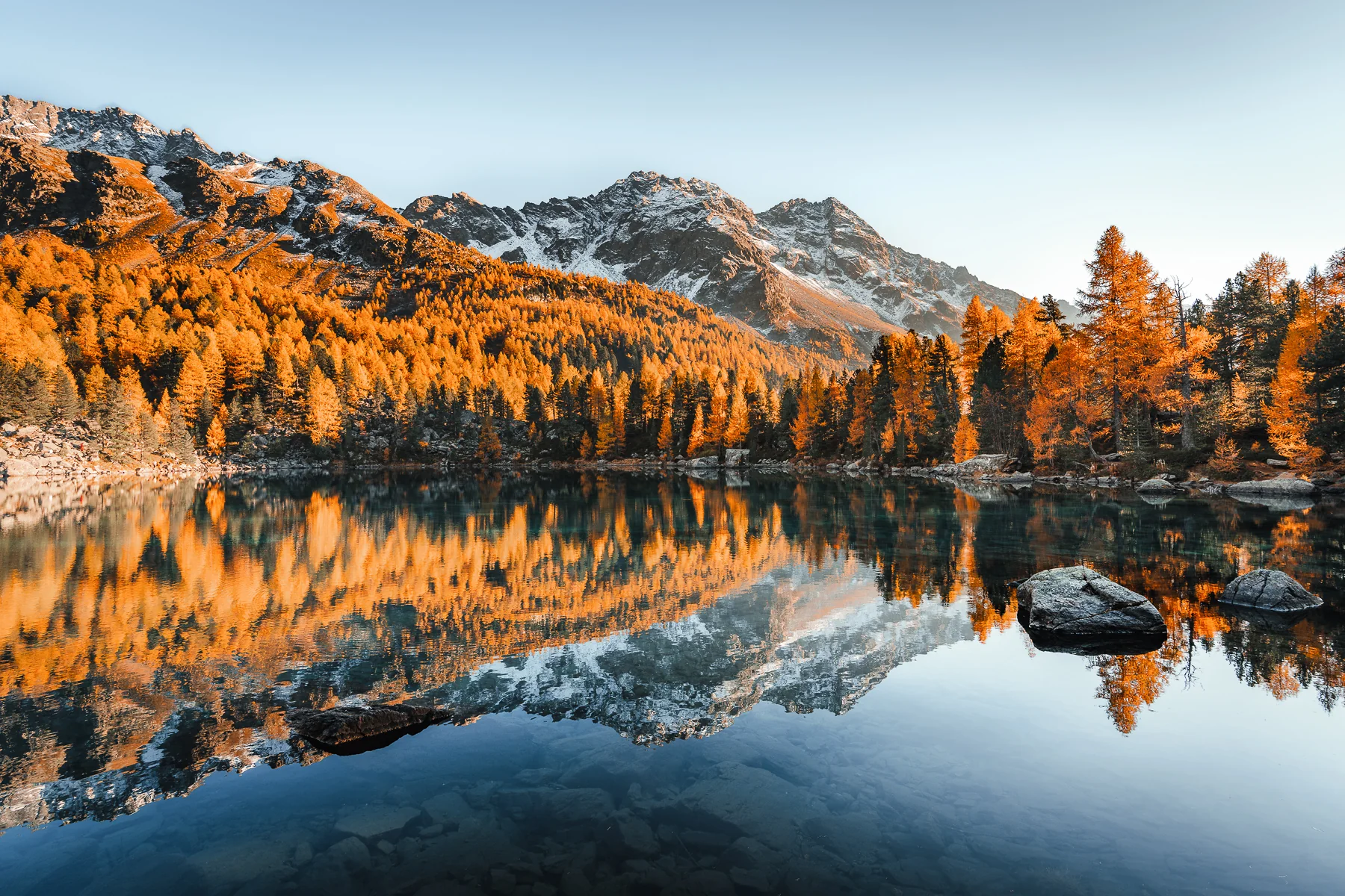 Herbstlicher Bergsee Lago di Saoseo mit goldenem Lärchenwald und Alpengipfeln in perfekter Spiegelung im ruhigen Wasser,...