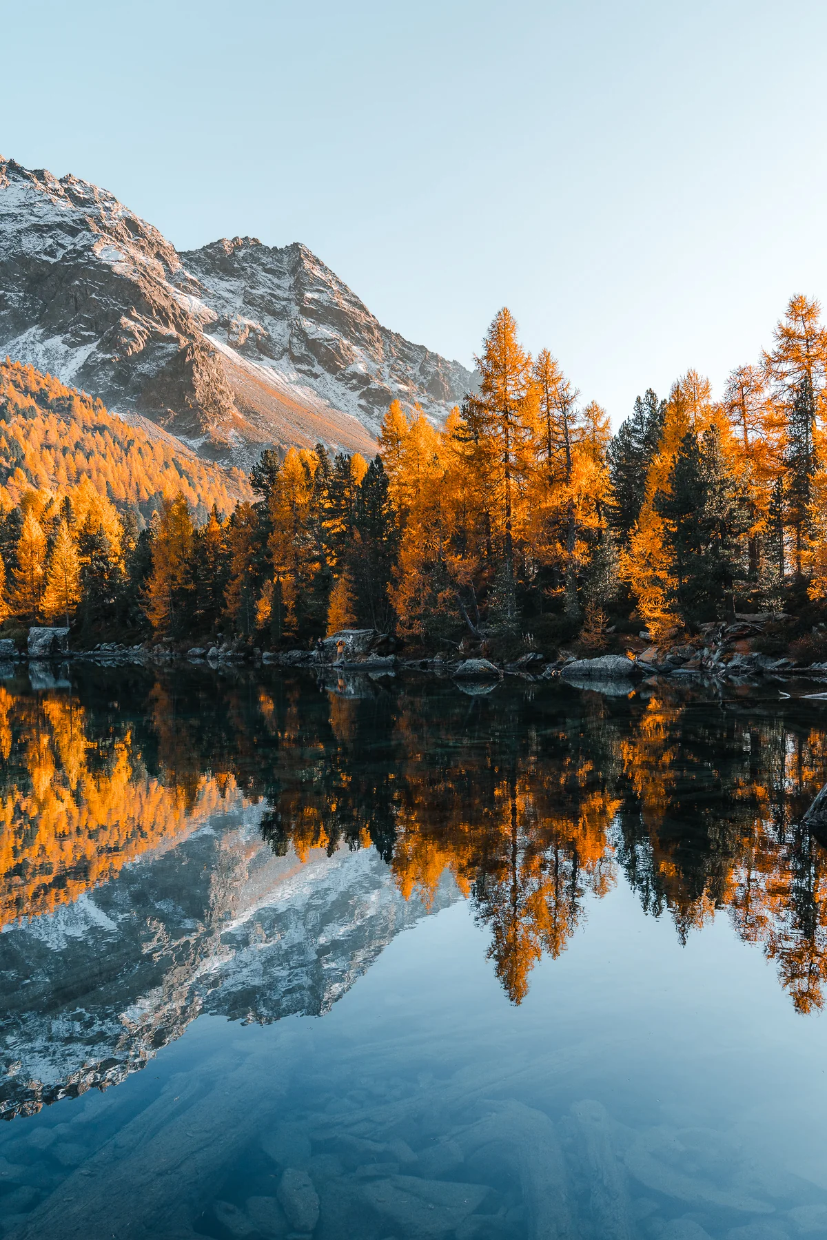 Spiegelnder Bergsee Lago di Saoseo mit golden gefärbten Lärchen und schneebedeckten Alpengipfeln im Herbst in Graubünden