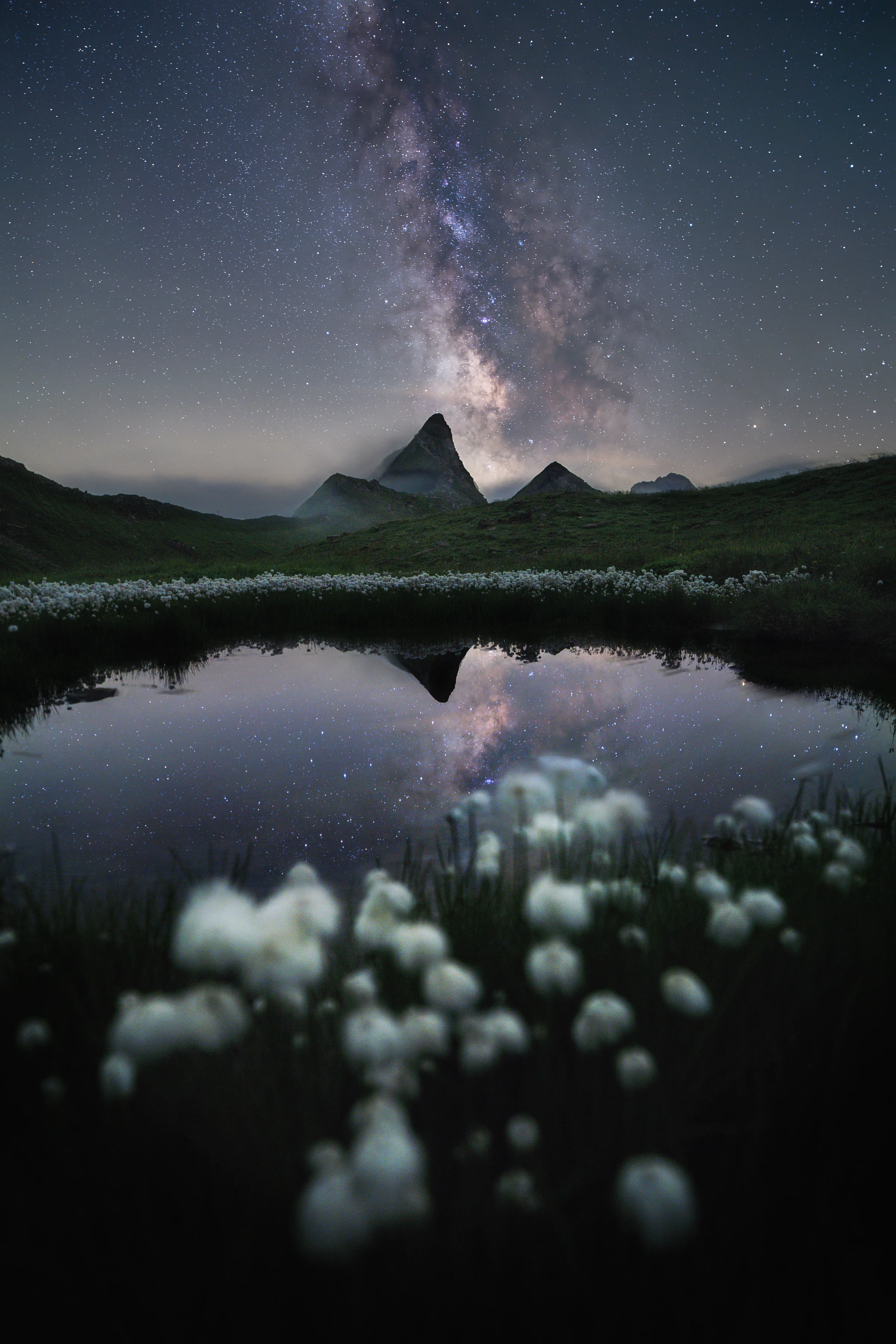 Milchstrasse spiegelt sich in ruhigem Bergsee mit Alpengipfeln und weissen Alpenblüten im Vordergrund bei Nacht