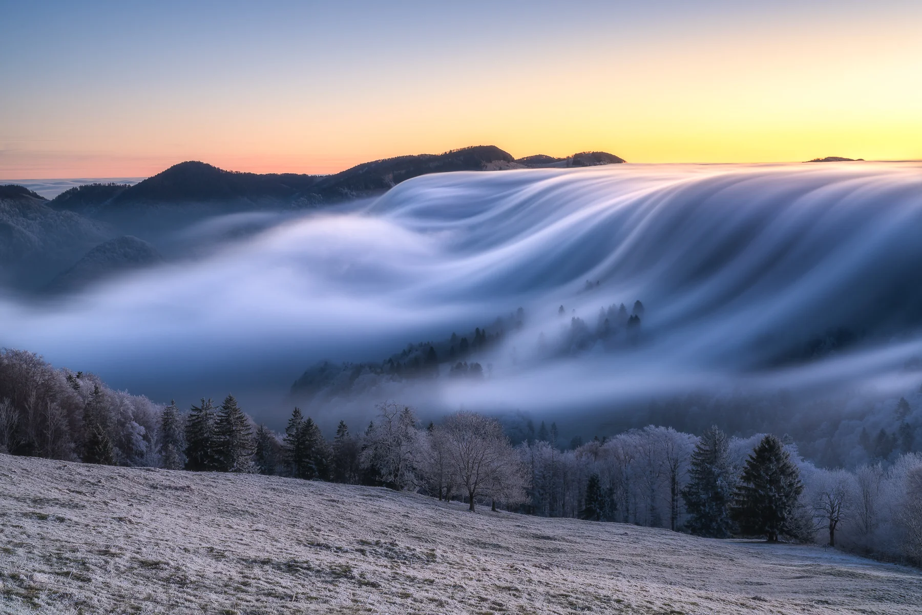 Dramatisches Nebelmeer mit fließenden Wolkenwellen am Scheltenpass bei Sonnenaufgang, schneebedeckte Berge und Wald im...