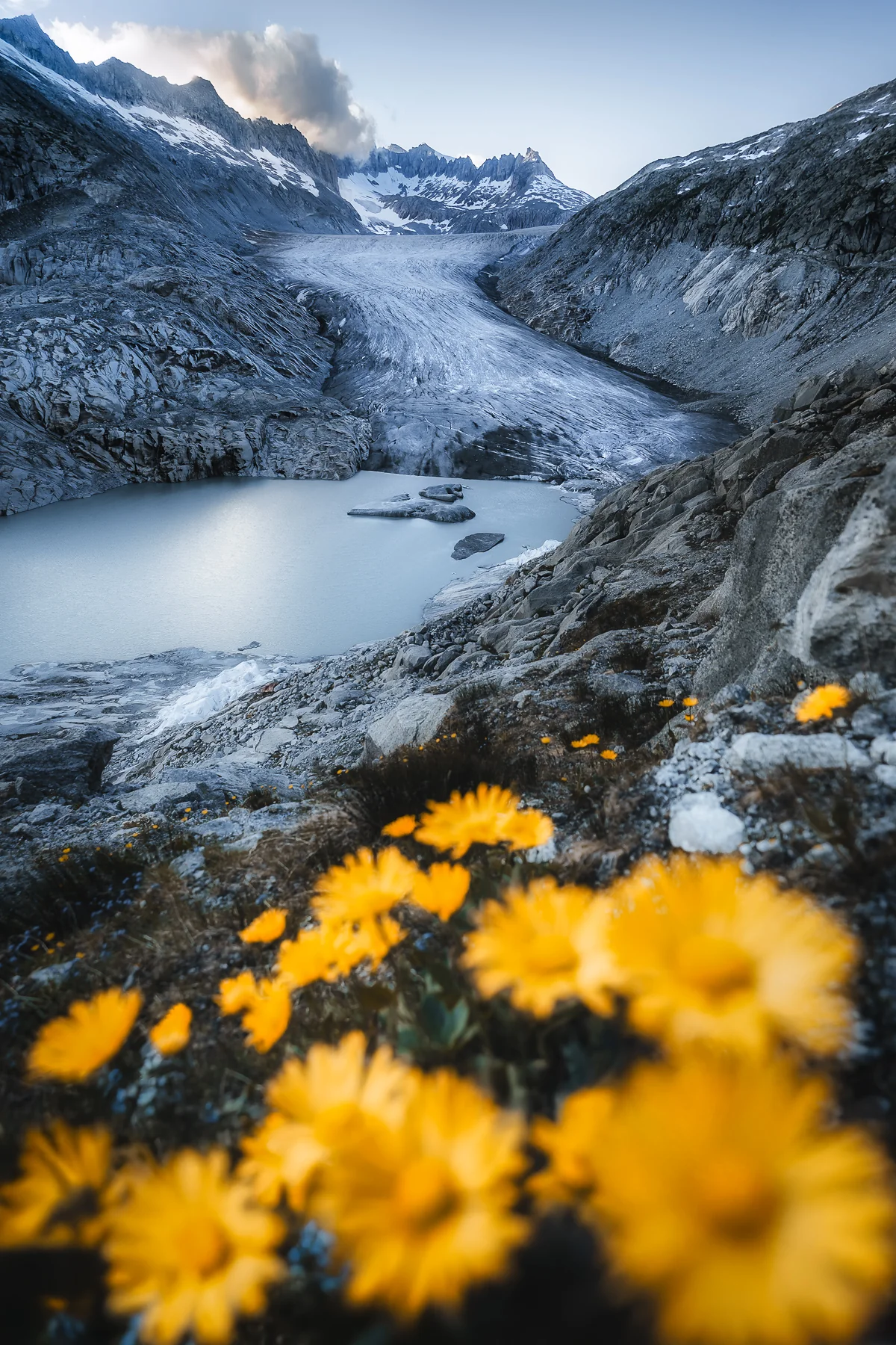Gletschersee mit spiegelnder Wasserfläche, dahinter der Rhonegletscher und schneebedeckte Alpengipfel, Vordergrund mit...