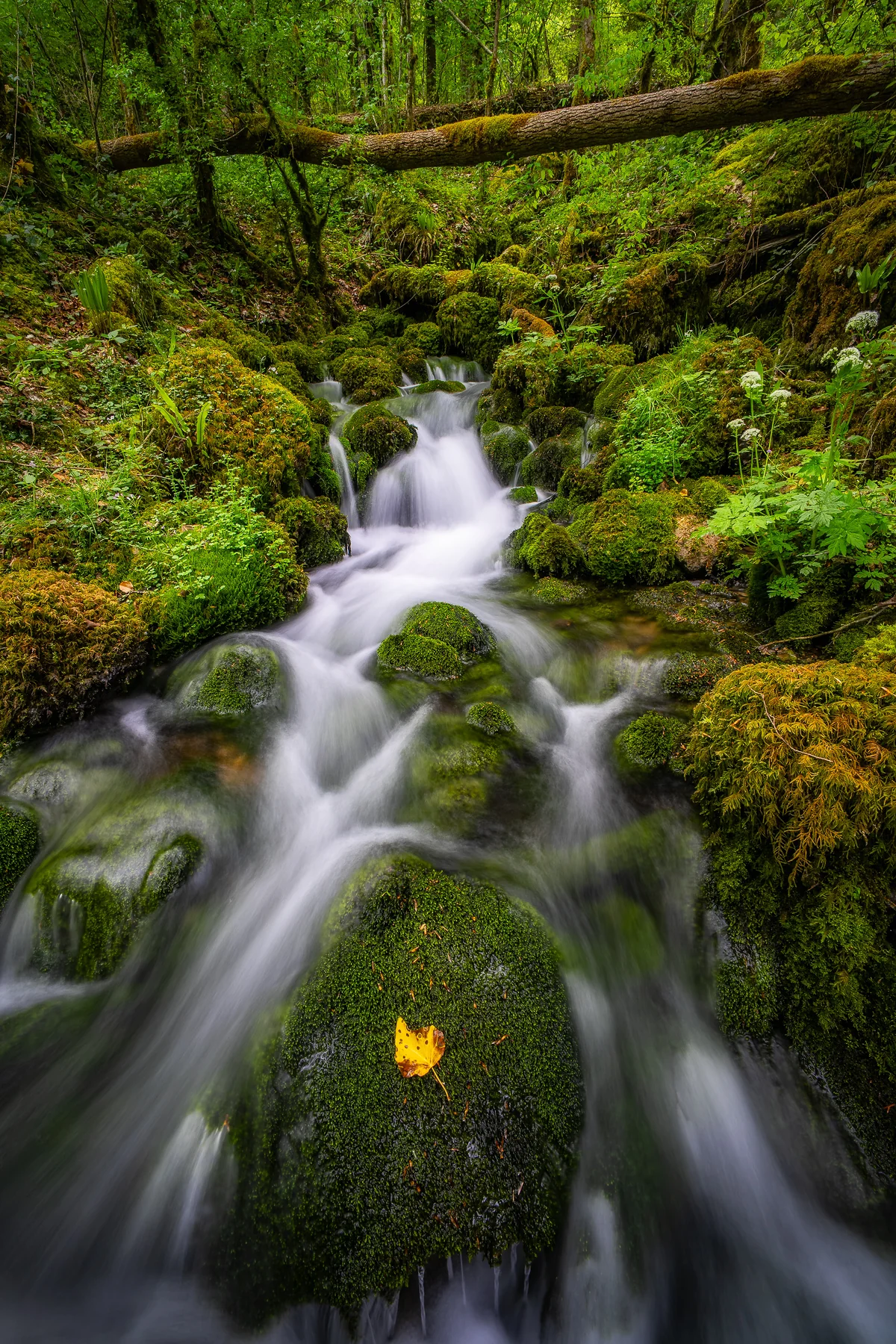 Moosbedeckter Wasserfall im Jura mit seidenem Wasserlauf und gelbem Herbstblatt auf grünem Stein