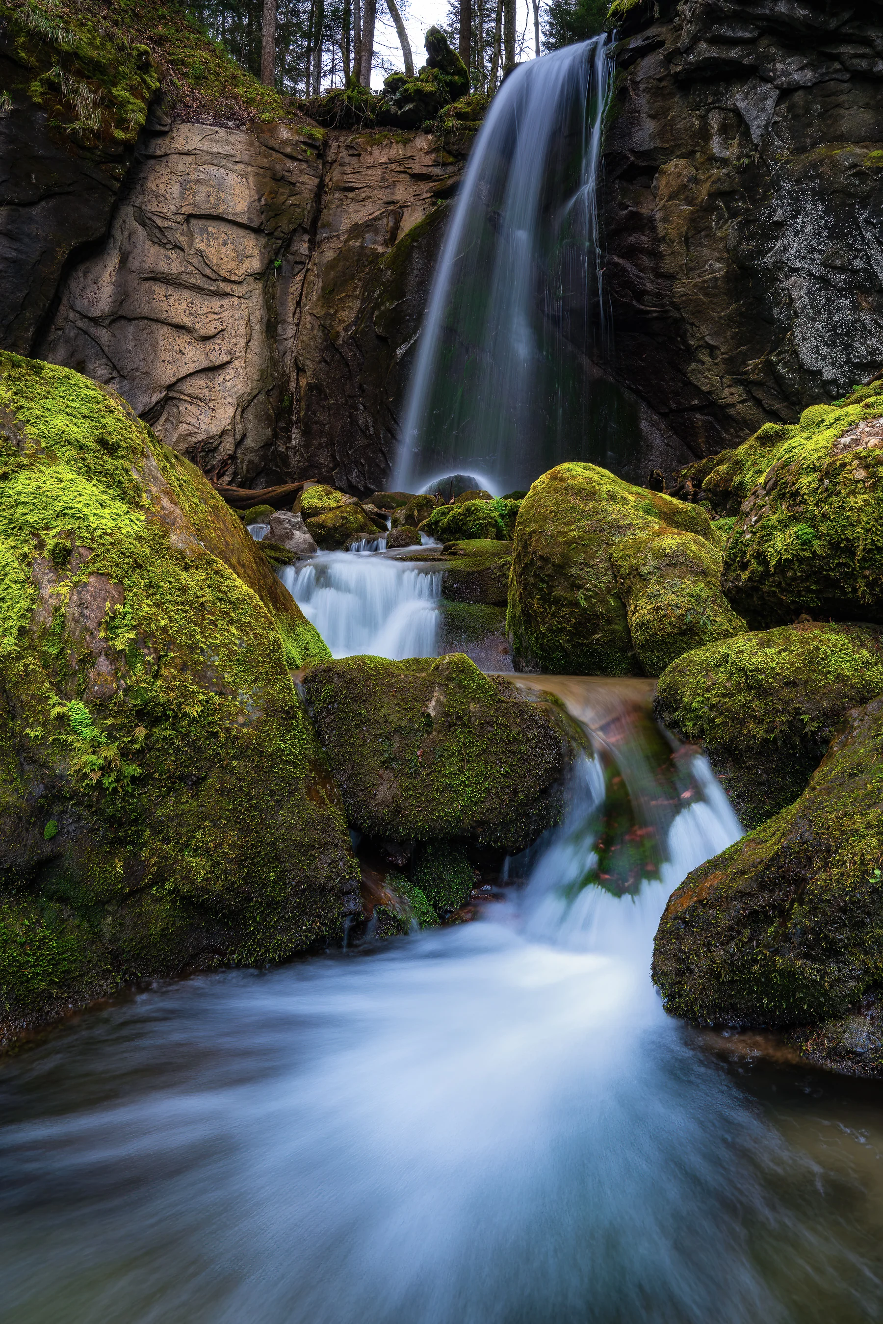 Malerischer Wasserfall umgeben von moosbedeckten Felsen in einem dichten Schweizer Waldgebiet, Langzeitbelichtung