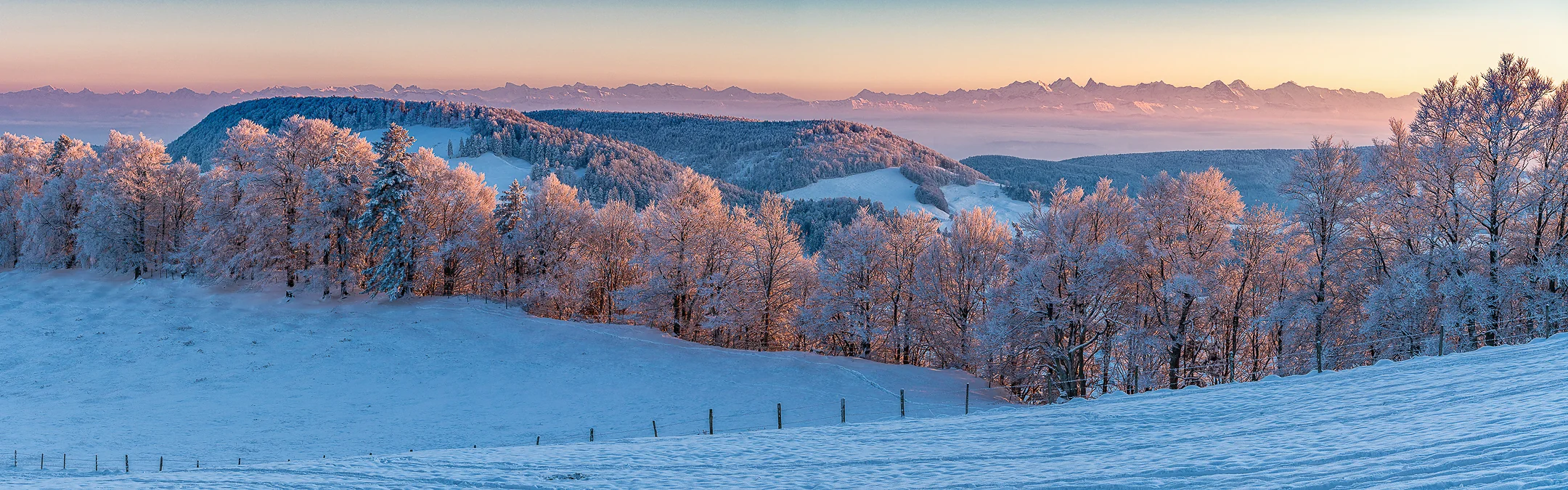 Verschneite Winterlandschaft in Baselland mit reifbedeckten Bäumen, gefrorene Seen und Alpenblick bei Sonnenaufgang