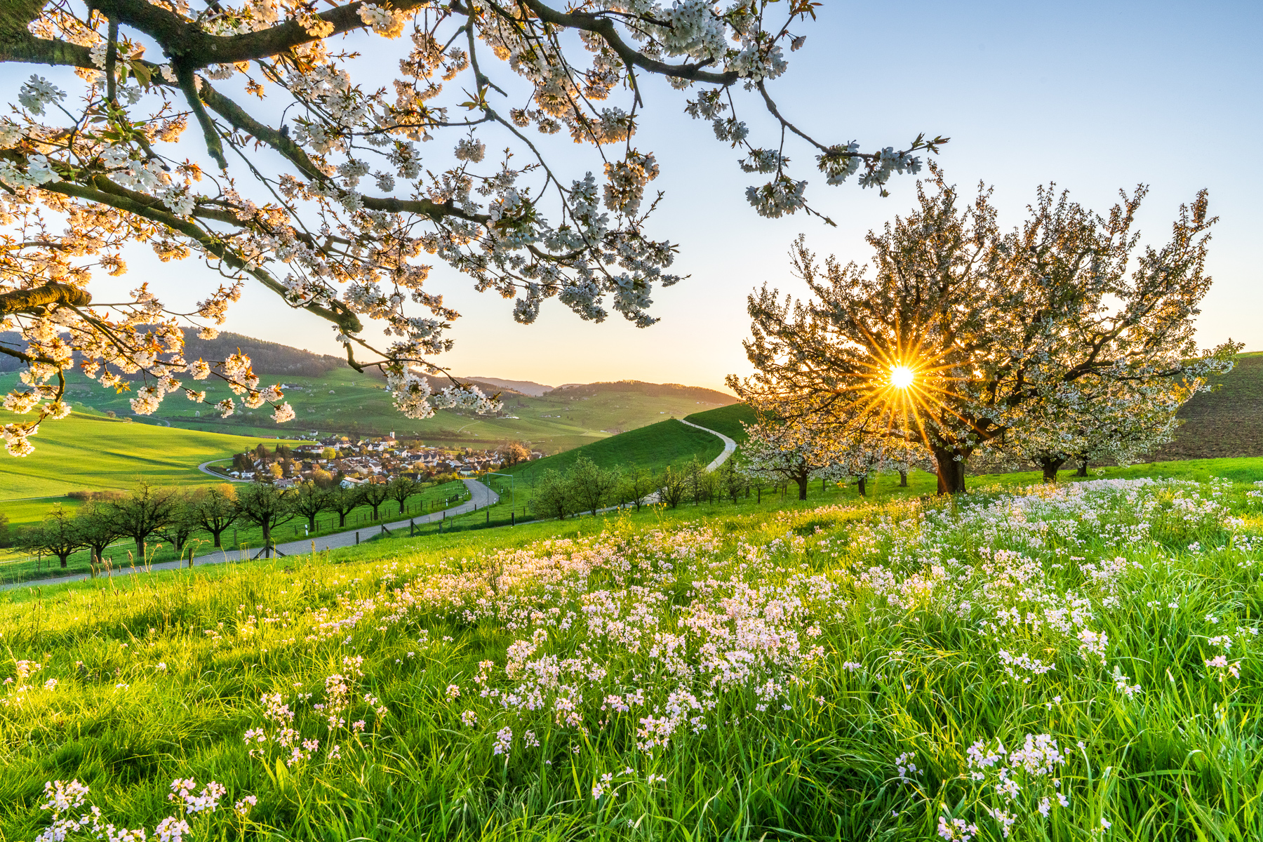 Fine Art Print — Blüesch im Baselbiet, Kevin Buess Fotografie